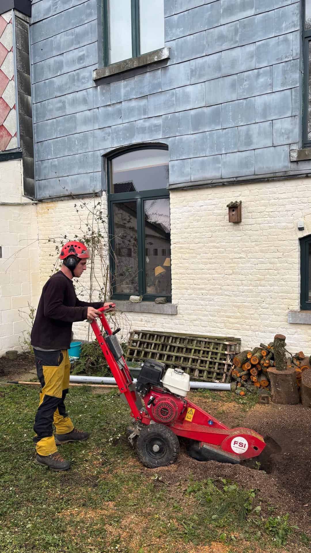 Désouchage à Liège : Simon Wegnez rogne une souche avec sa rogneuse compacte