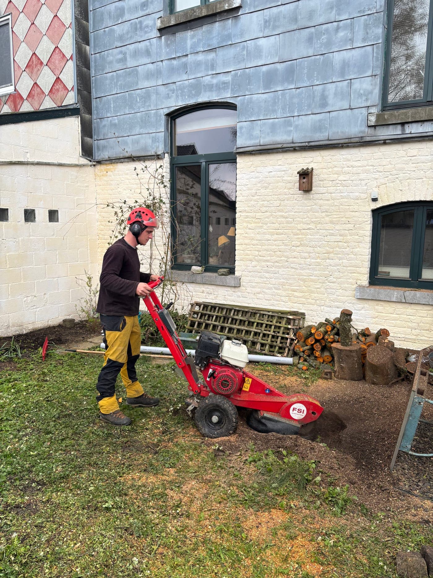 Rogneuse de souche louée pour un chantier de dessouchage à Liège